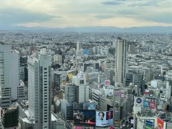 企業が無視できない「環境価値」と「環境負荷対策」について