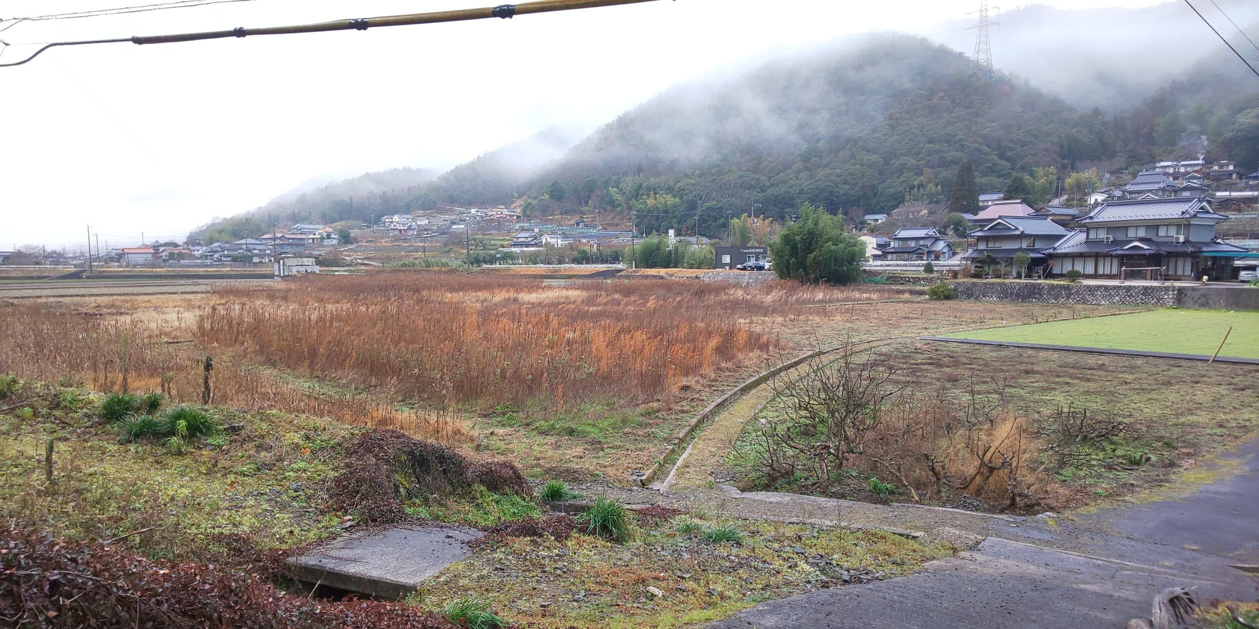 ＜画像＞