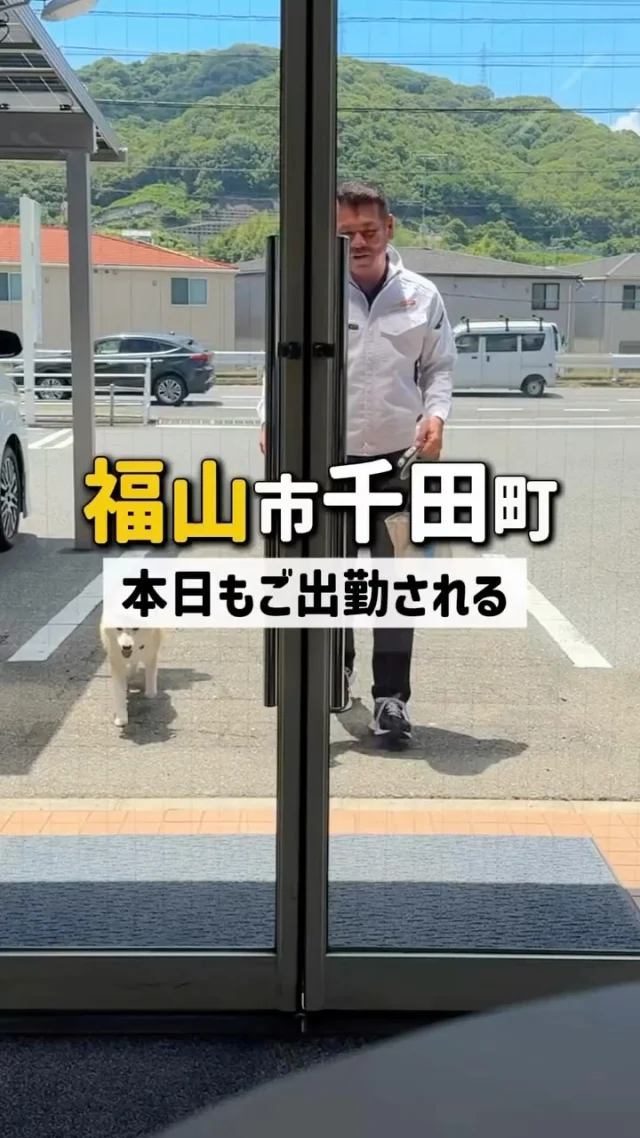 我が社の【副社長】ぽんちゃん
ご出勤の様子🐶✨
社員たちは朝から
副社長のご機嫌をうかがうのに必死です…笑
今後、社内の愉快な仲間たちと一緒に
動画アップしていきます📹
フォローよろしくお願いします🌞
————————
🫱🏻🫲🏽【 新しい仲間を募集中❗️ 】
#株式会社エムケイソルテック は
ただいま一緒に働いてくれる仲間を大募集中!
🌟 一級・二級電気施工管理技士
第一種・第二種・第三種電気主任技術者
お持ちの方優遇あり!
🌟未経験でも意欲があればOK!
求人に関するお問い合わせは
📩DM 【 @mk_soltec 】
📞電話 【084-983-0373】
🌐HP 【お問い合わせページ】
————————
#広島県福山市 
#電気工事士 
#太陽光発電 
#ソーラーパネル 
#福山市求人 
#電気施工管理技士
