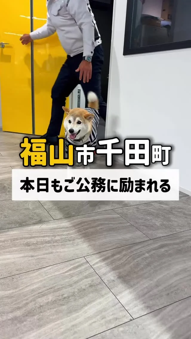 我が社の【副社長】
ぽんちゃんの業務紹介🐶✨

社内にいると
引っ張りだこの副社長です☺️

今後、社内の愉快な仲間たちと一緒に
動画アップしていきます📹
フォローよろしくお願いします🌞

————————

🫱🏻‍🫲🏽【 新しい仲間を募集中❗️ 】
高圧工事・太陽光施工の経験者歓迎！
📌電気工事士 / 電気施工管理技士は優遇します。
“現場で力のある会社”で
働きたい方、大歓迎です。
⸻

求人に関するお問い合わせは
📩DM 【 @mk_soltec 】
📞電話 【084-983-0373】
🌐HP 【お問い合わせページ】
⸻

🌍環境への責任
当社はCO₂削減の明確な目標を掲げ
国際イニシアチブ SBT（Science Based Targets） を
取得しています。
⸻

📸掲載されている画像・文章の著作権は
株式会社エムケイソルテックに帰属します。
無断転載を禁じます。

#広島県福山市
#太陽光発電
#ソーラーパネル
#福山市求人
#電気施工管理技士