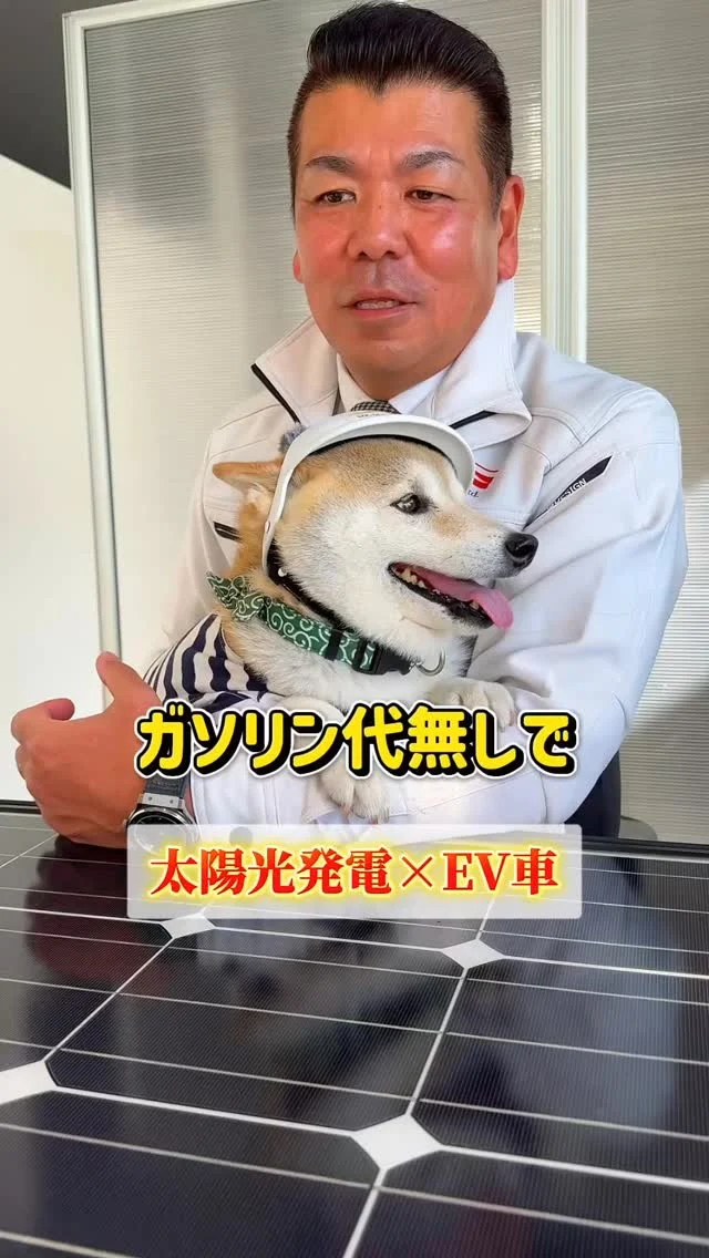 太陽光で
\ガソリン代ゼロが叶うってホント？🤔 /

社長・みなみが
”実際のところ”を話してみました📚

————————
🫱🏻‍🫲🏽【 新しい仲間を募集中❗️ 】

#株式会社エムケイソルテック は
ただいま一緒に働いてくれる仲間を大募集中！

🌟・ 第一種、第二種電気工士
・1級、2級電気工事施工管理技士
・電気主任技術者
お持ちの方優遇あり！

🌟未経験でも意欲があればOK！

求人に関するお問い合わせは
📩DM 【 @mk_soltec 】
📞電話 【084-983-0373】
🌐HP 【お問い合わせページ】

————————
#広島県福山市 #太陽光発電 
#ソーラーパネル #福山市求人